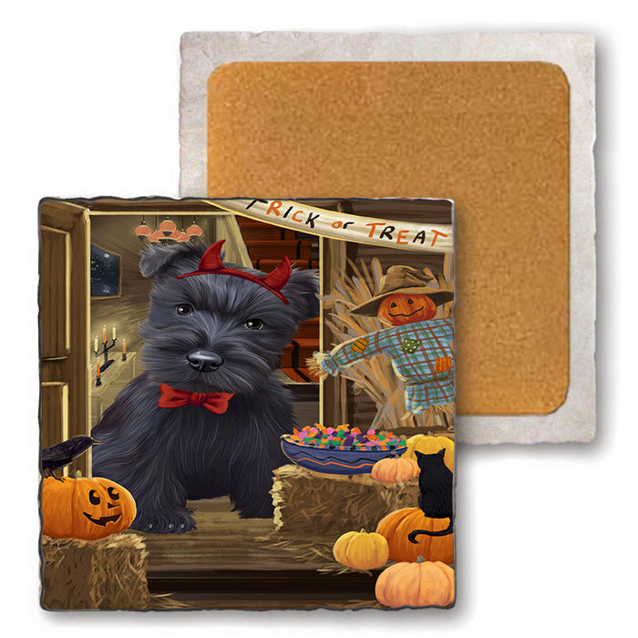Enter at Own Risk Trick or Treat Halloween Scottish Terrier Dog Set of 4 Natural Stone Marble Tile Coasters MCST48272