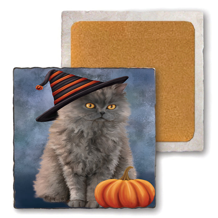 Happy Halloween Selkirk Rex Cat Wearing Witch Hat with Pumpkin Set of 4 Natural Stone Marble Tile Coasters MCST49805