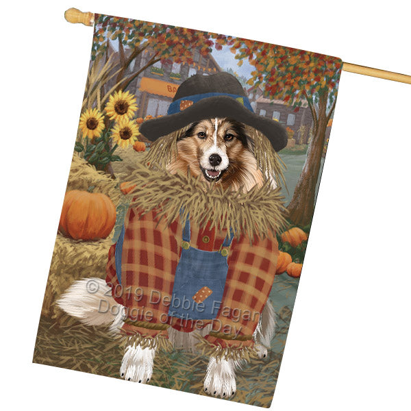 Fall Pumpkin Scarecrow Shetland Sheepdogs House Flag FLG65975