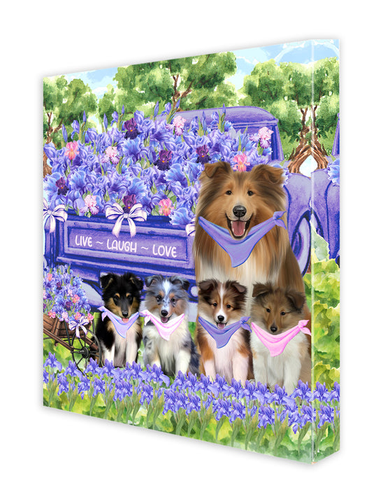 Shetland Sheepdog Canvas: Explore a Variety of Custom Designs, Personalized, Digital Art Wall Painting, Ready to Hang Room Decor, Gift for Pet & Dog Lovers