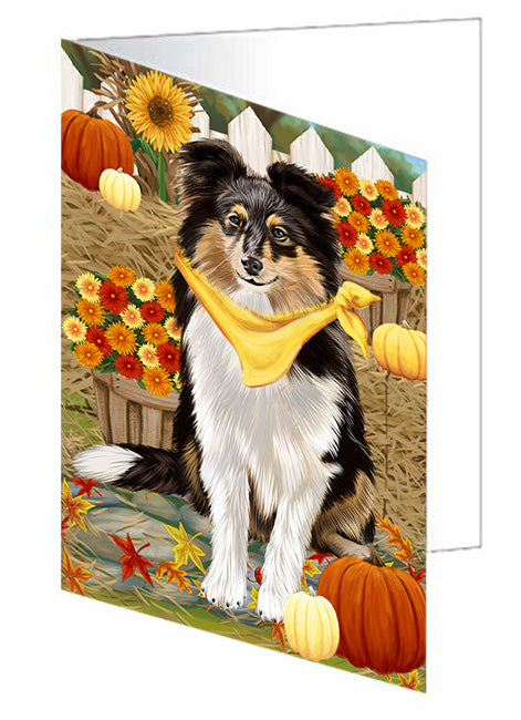 Fall Autumn Greeting Shetland Sheepdog with Pumpkins Handmade Artwork Assorted Pets Greeting Cards and Note Cards with Envelopes for All Occasions and Holiday Seasons GCD56615