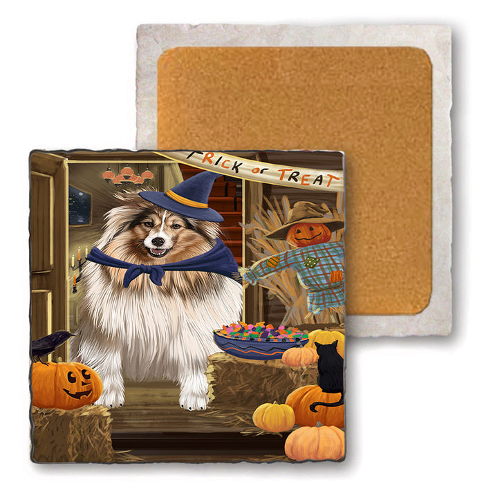 Enter at Own Risk Trick or Treat Halloween Shetland Sheepdog Set of 4 Natural Stone Marble Tile Coasters MCST48279
