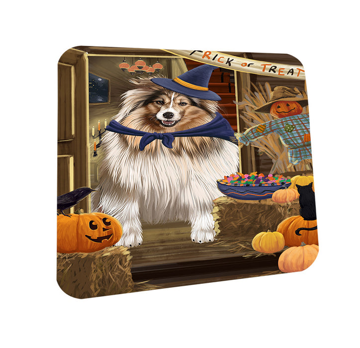 Enter at Own Risk Trick or Treat Halloween Shetland Sheepdog Coasters Set of 4 CST53237