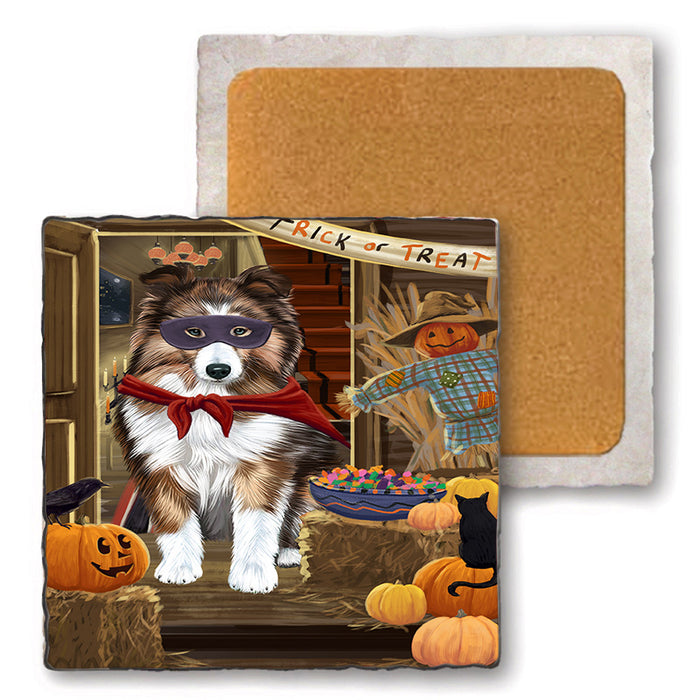 Enter at Own Risk Trick or Treat Halloween Shetland Sheepdog Set of 4 Natural Stone Marble Tile Coasters MCST48280