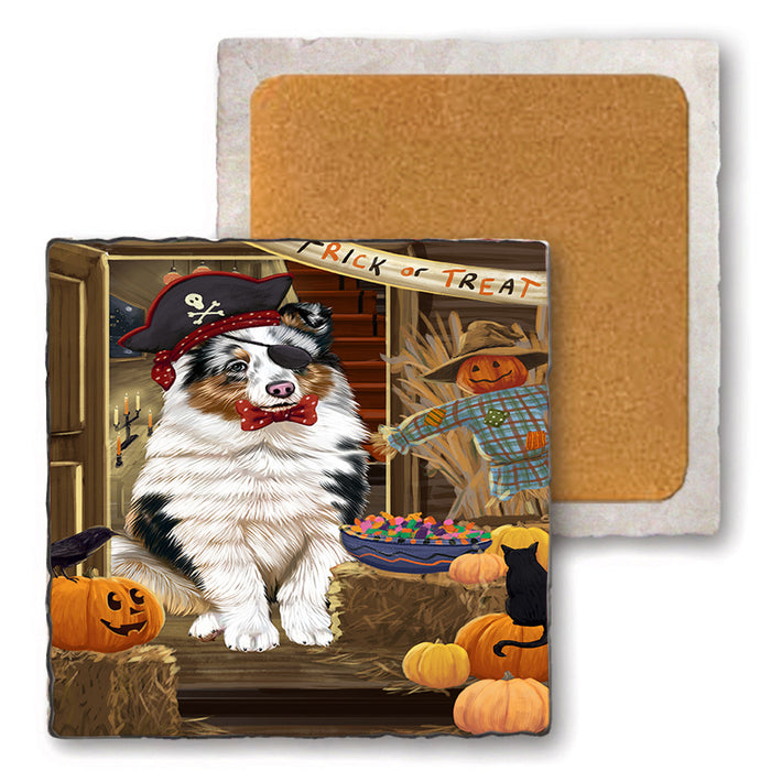 Enter at Own Risk Trick or Treat Halloween Shetland Sheepdog Set of 4 Natural Stone Marble Tile Coasters MCST48281
