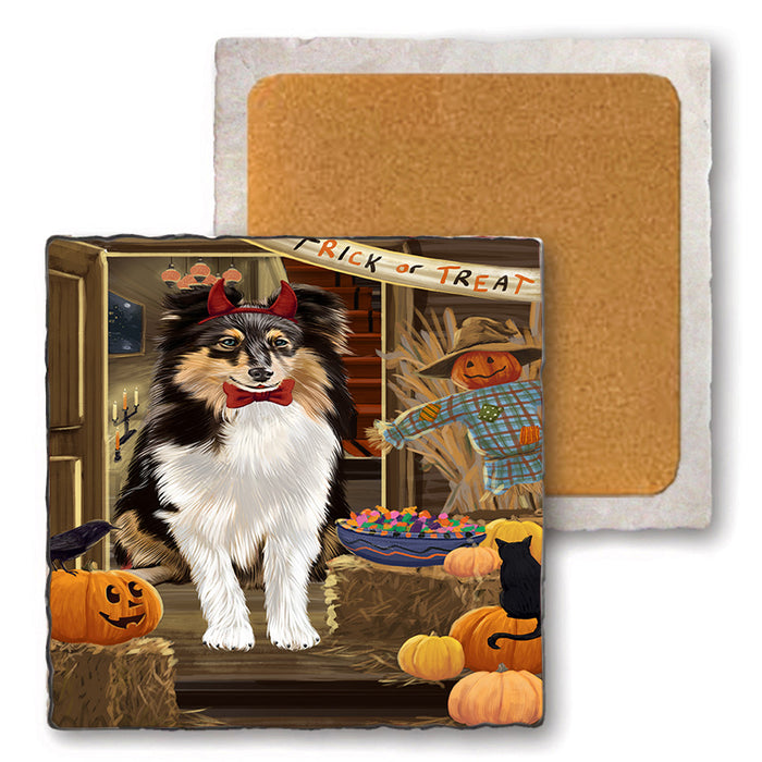 Enter at Own Risk Trick or Treat Halloween Shetland Sheepdog Set of 4 Natural Stone Marble Tile Coasters MCST48282