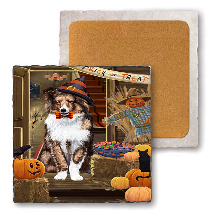 Enter at Own Risk Trick or Treat Halloween Shetland Sheepdog Set of 4 Natural Stone Marble Tile Coasters MCST48283