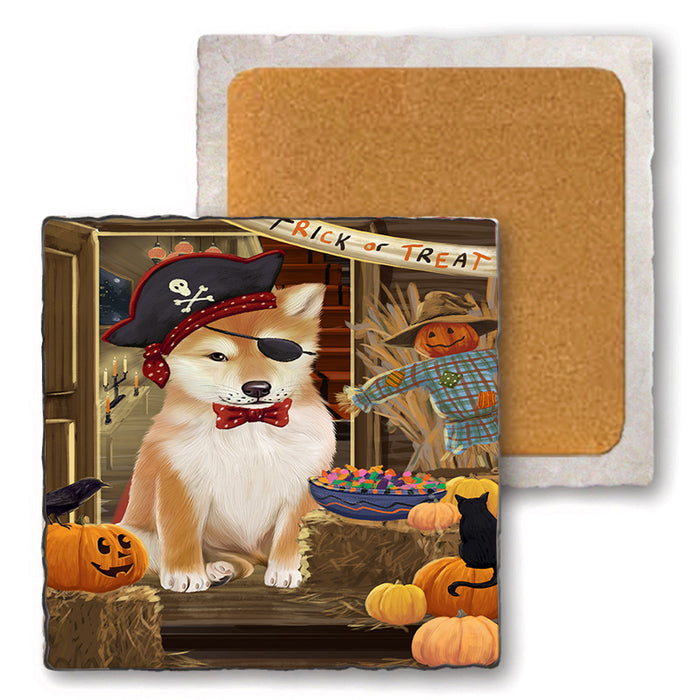 Enter at Own Risk Trick or Treat Halloween Shiba Inu Dog Set of 4 Natural Stone Marble Tile Coasters MCST48286