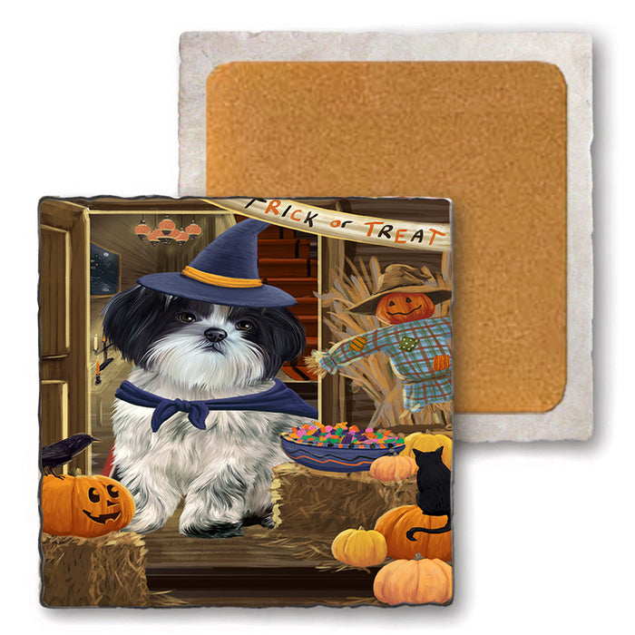 Enter at Own Risk Trick or Treat Halloween Shih Tzu Dog Set of 4 Natural Stone Marble Tile Coasters MCST48289