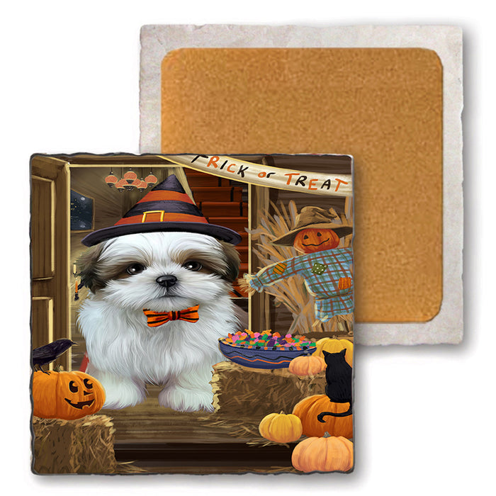 Enter at Own Risk Trick or Treat Halloween Shih Tzu Dog Set of 4 Natural Stone Marble Tile Coasters MCST48293