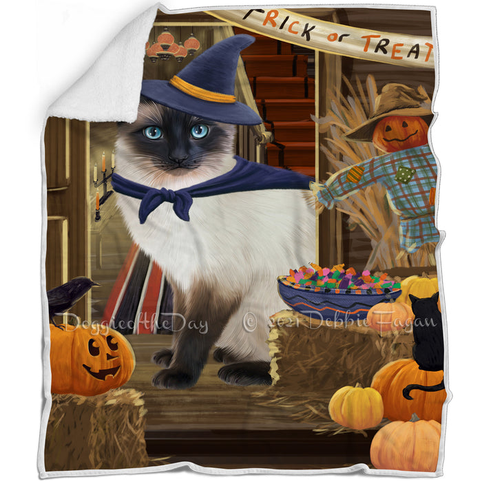 Enter at Own Risk Trick or Treat Halloween Siamese Cat Dog Blanket BLNKT96987