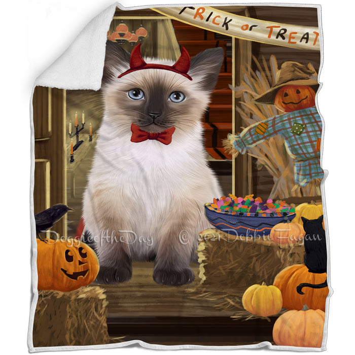Enter at Own Risk Trick or Treat Halloween Siamese Cat Dog Blanket BLNKT97014