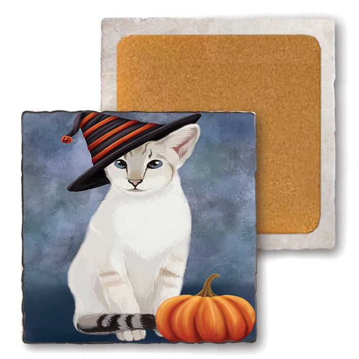 Happy Halloween Siamese Cat Wearing Witch Hat with Pumpkin Set of 4 Natural Stone Marble Tile Coasters MCST49910