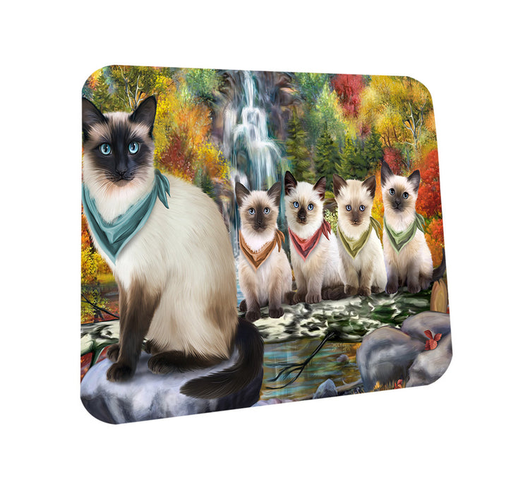 Scenic Waterfall Siamese Cats Coasters Set of 4 CST51915