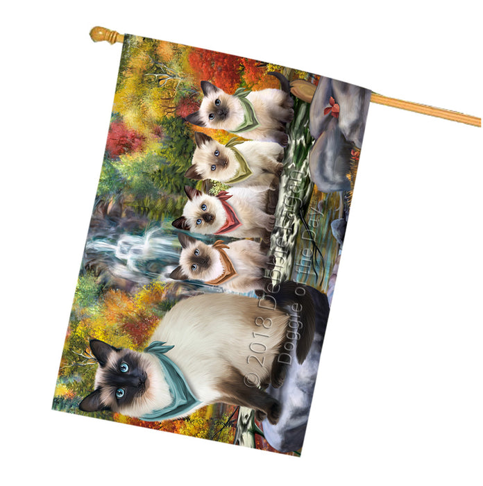 Scenic Waterfall Siamese Cats House Flag FLG52089