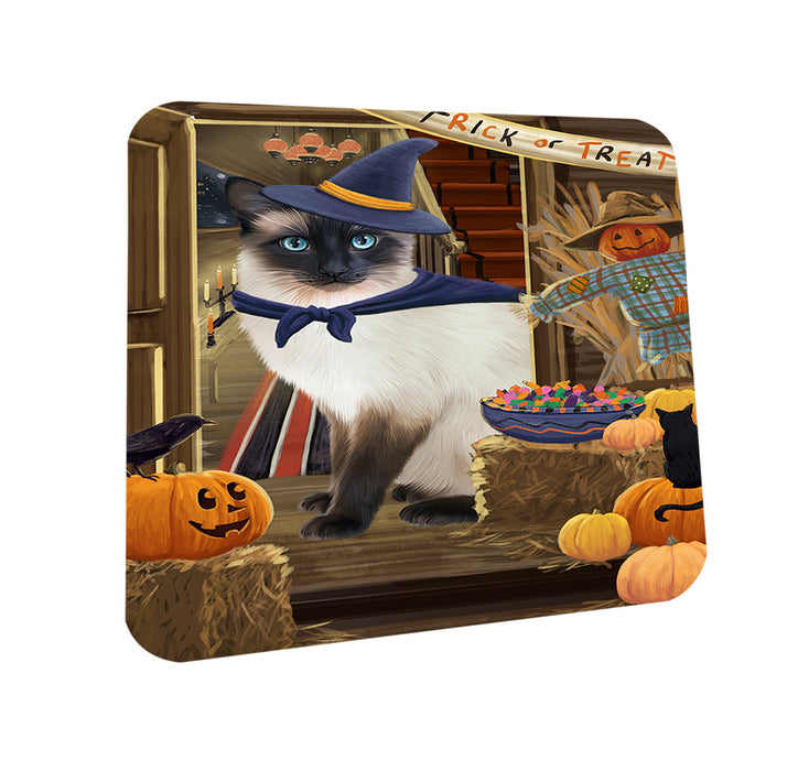 Enter at Own Risk Trick or Treat Halloween Siamese Cat Dog Coasters Set of 4 CST53252