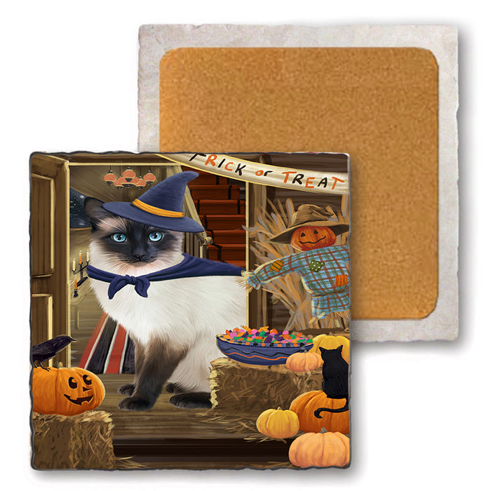 Enter at Own Risk Trick or Treat Halloween Siamese Cat Dog Set of 4 Natural Stone Marble Tile Coasters MCST48294