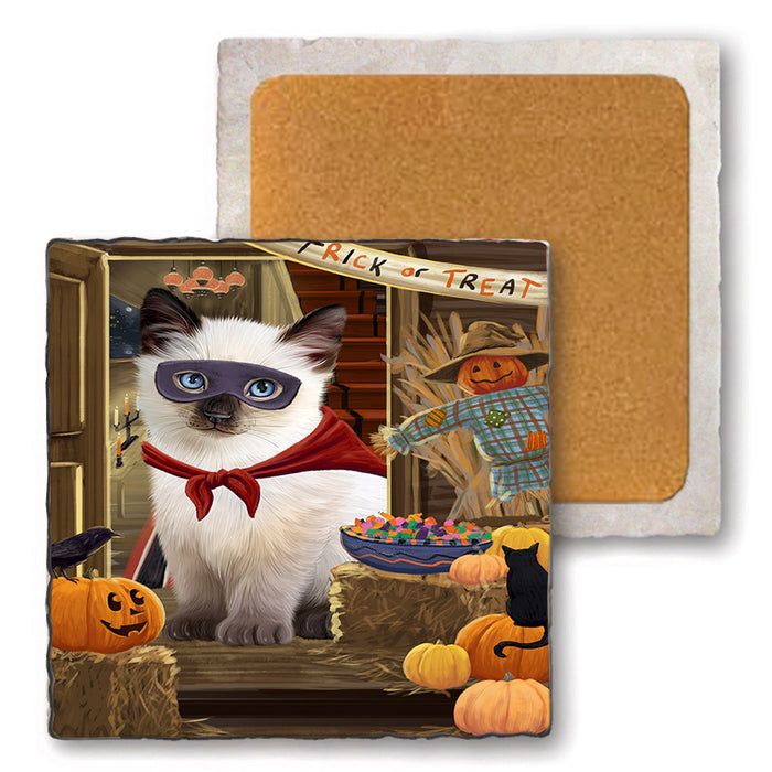 Enter at Own Risk Trick or Treat Halloween Siamese Cat Dog Set of 4 Natural Stone Marble Tile Coasters MCST48295