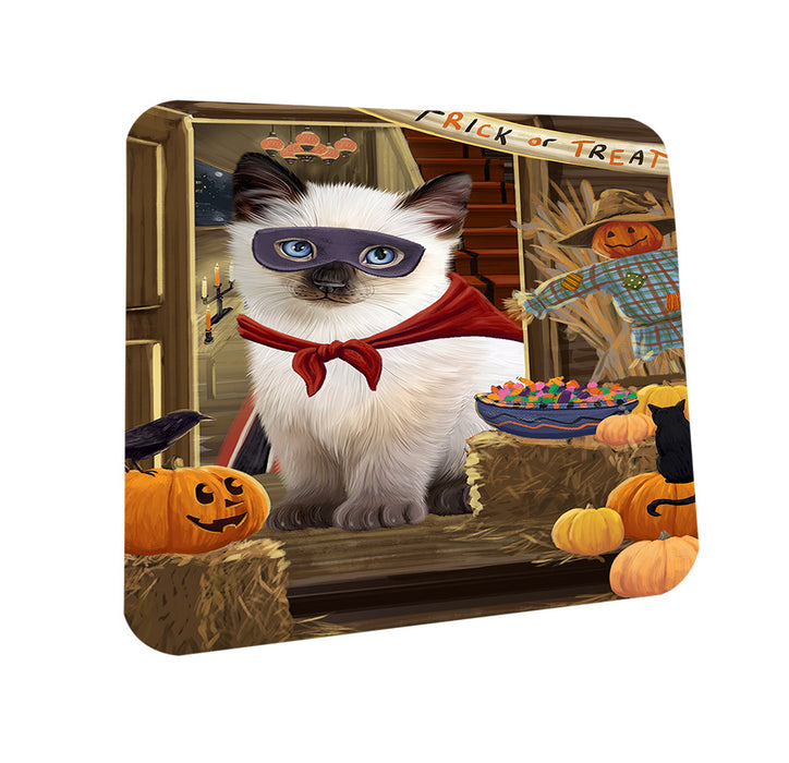 Enter at Own Risk Trick or Treat Halloween Siamese Cat Dog Coasters Set of 4 CST53253