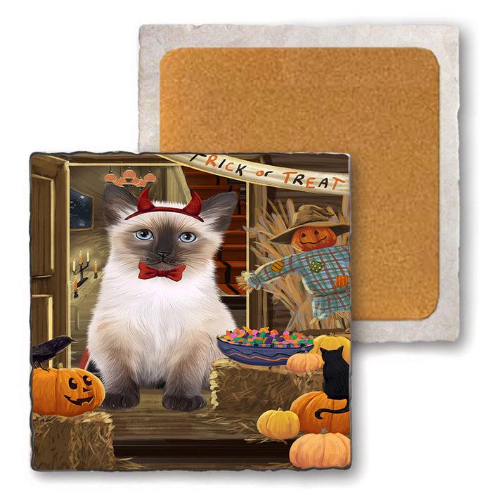 Enter at Own Risk Trick or Treat Halloween Siamese Cat Dog Set of 4 Natural Stone Marble Tile Coasters MCST48297