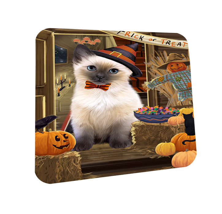 Enter at Own Risk Trick or Treat Halloween Siamese Cat Dog Coasters Set of 4 CST53256
