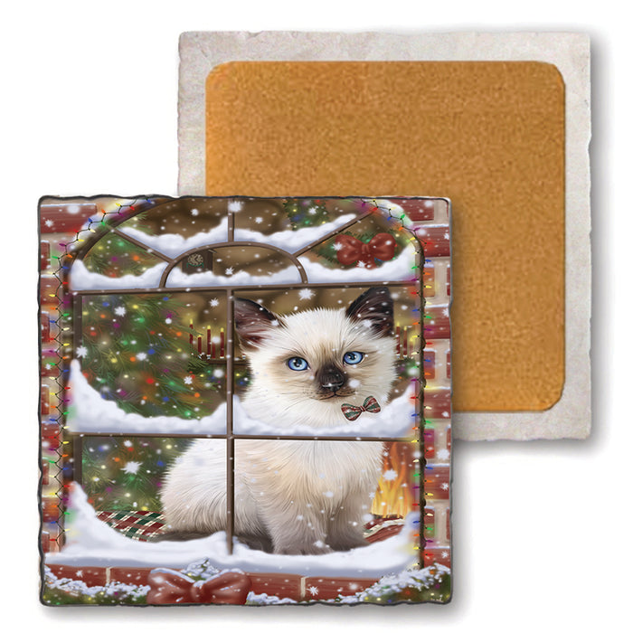 Please Come Home For Christmas Siamese Cat Sitting In Window Set of 4 Natural Stone Marble Tile Coasters MCST48645