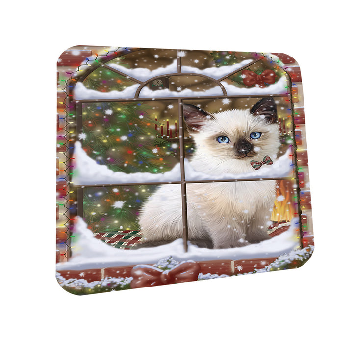 Please Come Home For Christmas Siamese Cat Sitting In Window Coasters Set of 4 CST53603