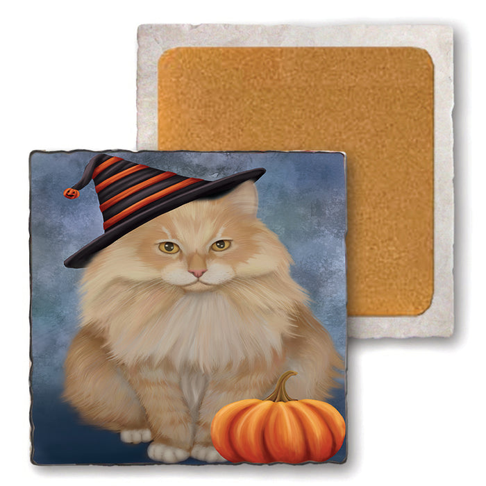 Happy Halloween Siberian Cat Wearing Witch Hat with Pumpkin Set of 4 Natural Stone Marble Tile Coasters MCST49808