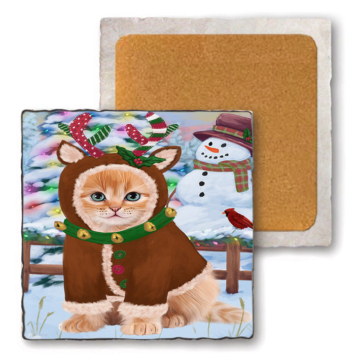 Christmas Gingerbread House Candyfest Siberian Cat Set of 4 Natural Stone Marble Tile Coasters MCST51561