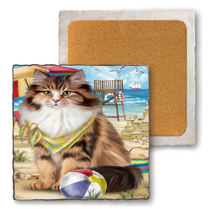 Pet Friendly Beach Siberian Cat Set of 4 Natural Stone Marble Tile Coasters MCST49186