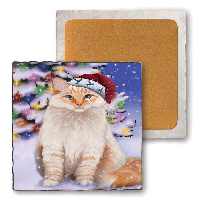 Winterland Wonderland Siberian Cat In Christmas Holiday Scenic Background Set of 4 Natural Stone Marble Tile Coasters MCST50726