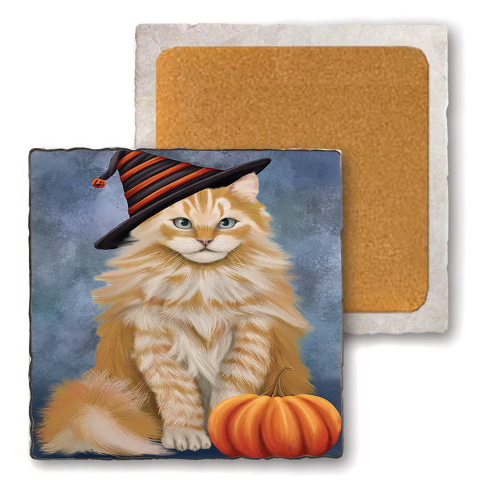 Happy Halloween Siberian Cat Wearing Witch Hat with Pumpkin Set of 4 Natural Stone Marble Tile Coasters MCST49810