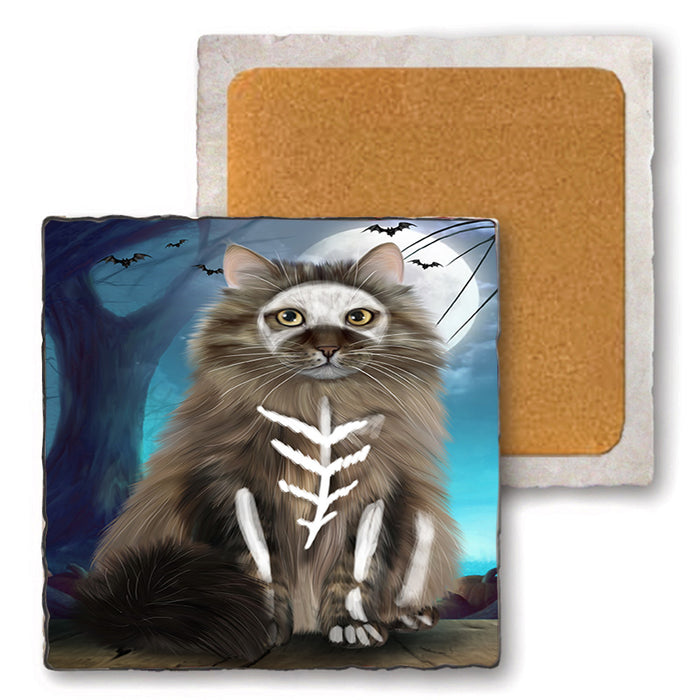 Happy Halloween Trick or Treat Siberian Cat Set of 4 Natural Stone Marble Tile Coasters MCST49530