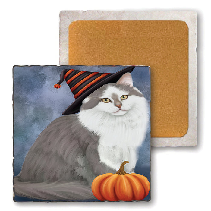 Happy Halloween Siberian Cat Wearing Witch Hat with Pumpkin Set of 4 Natural Stone Marble Tile Coasters MCST49777