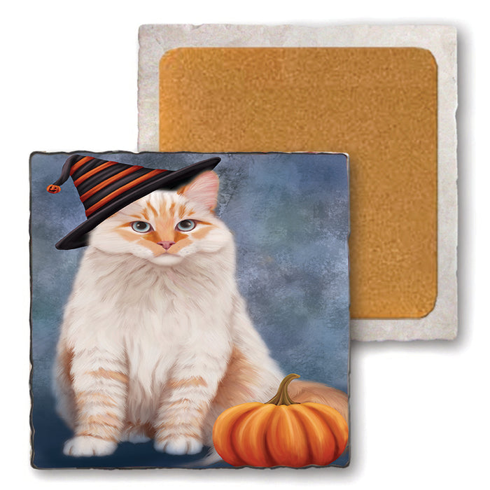 Happy Halloween Siberian Cat Wearing Witch Hat with Pumpkin Set of 4 Natural Stone Marble Tile Coasters MCST49811