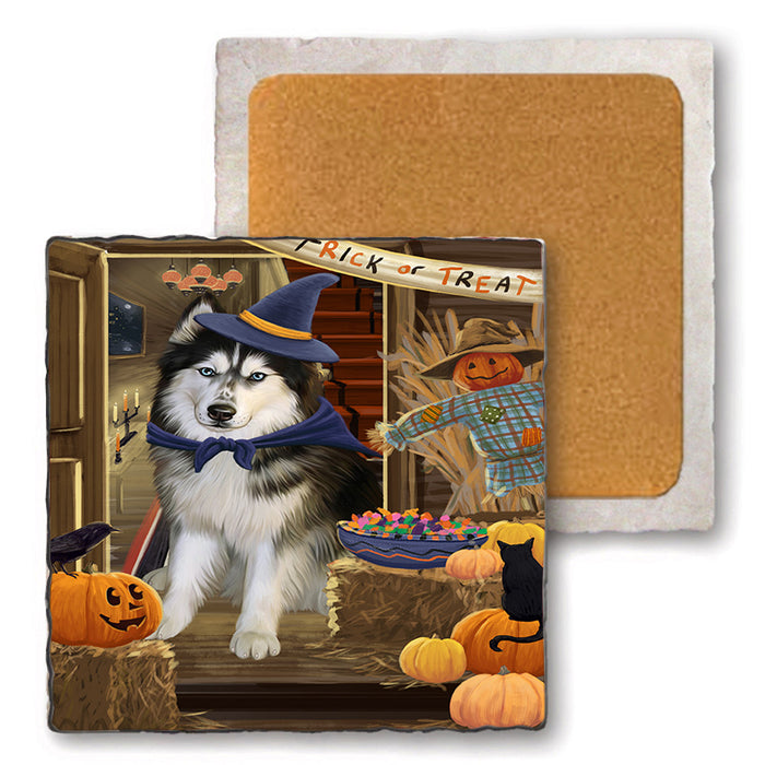 Enter at Own Risk Trick or Treat Halloween Siberian Huskie Dog Set of 4 Natural Stone Marble Tile Coasters MCST48299