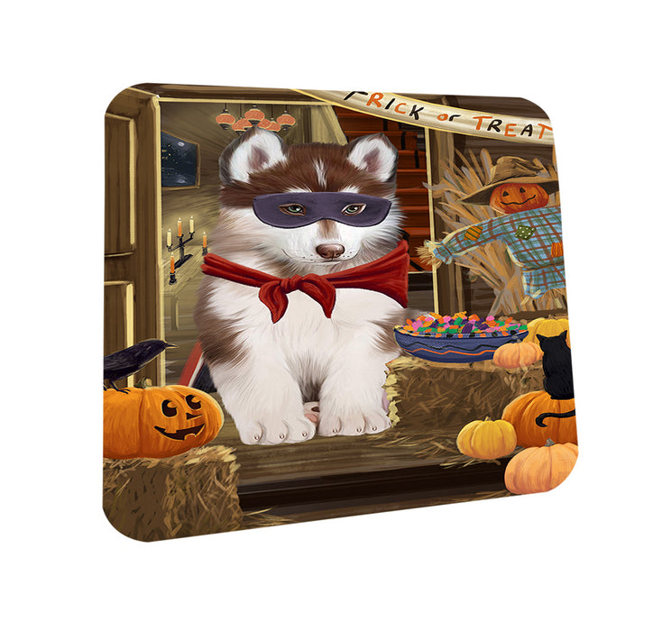 Enter at Own Risk Trick or Treat Halloween Siberian Huskie Dog Coasters Set of 4 CST53258