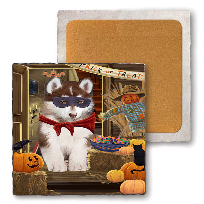 Enter at Own Risk Trick or Treat Halloween Siberian Huskie Dog Set of 4 Natural Stone Marble Tile Coasters MCST48300