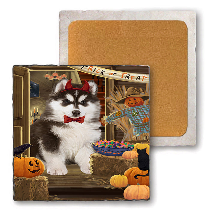 Enter at Own Risk Trick or Treat Halloween Siberian Huskie Dog Set of 4 Natural Stone Marble Tile Coasters MCST48302