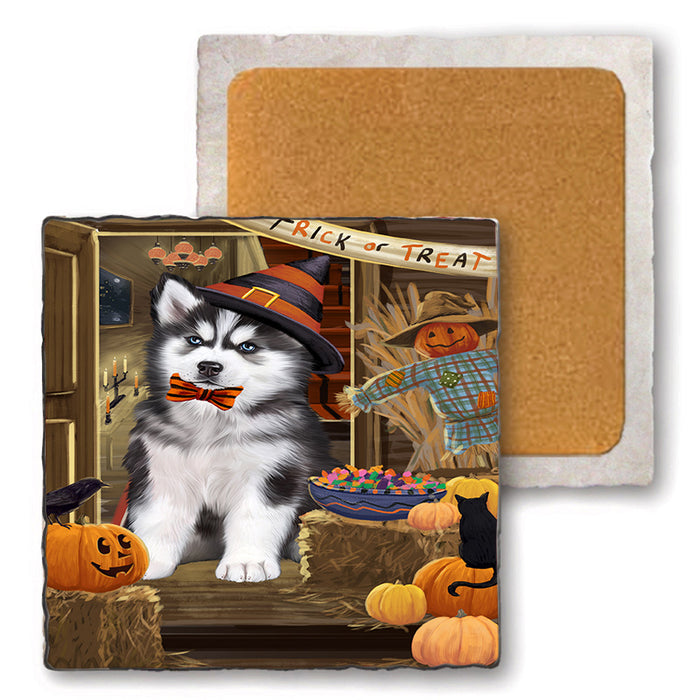 Enter at Own Risk Trick or Treat Halloween Siberian Huskie Dog Set of 4 Natural Stone Marble Tile Coasters MCST48303