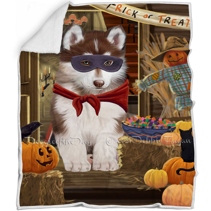 Enter at Own Risk Trick or Treat Halloween Siberian Husky Dog Blanket BLNKT97041