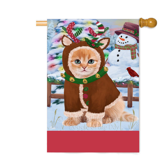Personalized Gingerbread Candyfest Siberian Cat Custom House Flag FLG63970