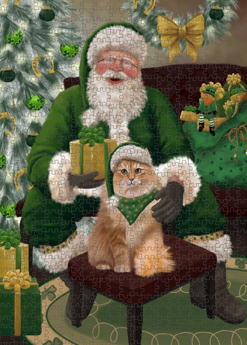Christmas Irish Santa with Gift and Siberian Cat Puzzle with Photo Tin PUZL100576