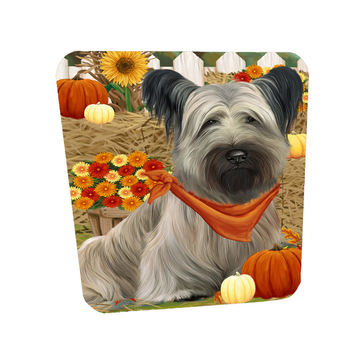 Fall Pumpkin Autumn Greeting Skye Terrier Dog Coasters Set of 4 CSTA58511