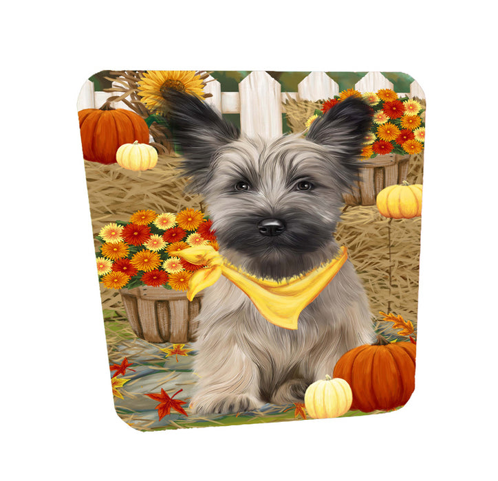 Fall Pumpkin Autumn Greeting Skye Terrier Dog Coasters Set of 4 CSTA58512