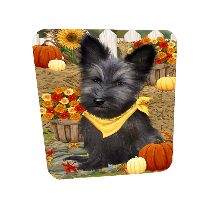 Fall Pumpkin Autumn Greeting Skye Terrier Dog Coasters Set of 4 CSTA58513