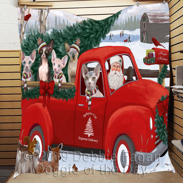 Christmas Santa Express Delivery Red Truck Sphynx Cats Quilt