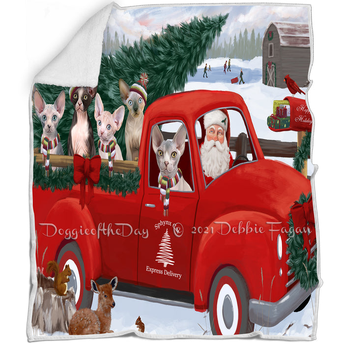Christmas Santa Express Delivery Red Truck Sphynx Cats Family Blanket BLNKT113016