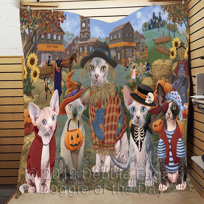 Halloween 'Round Town and Fall Pumpkin Scarecrow Both Sphynx Cats Quilt