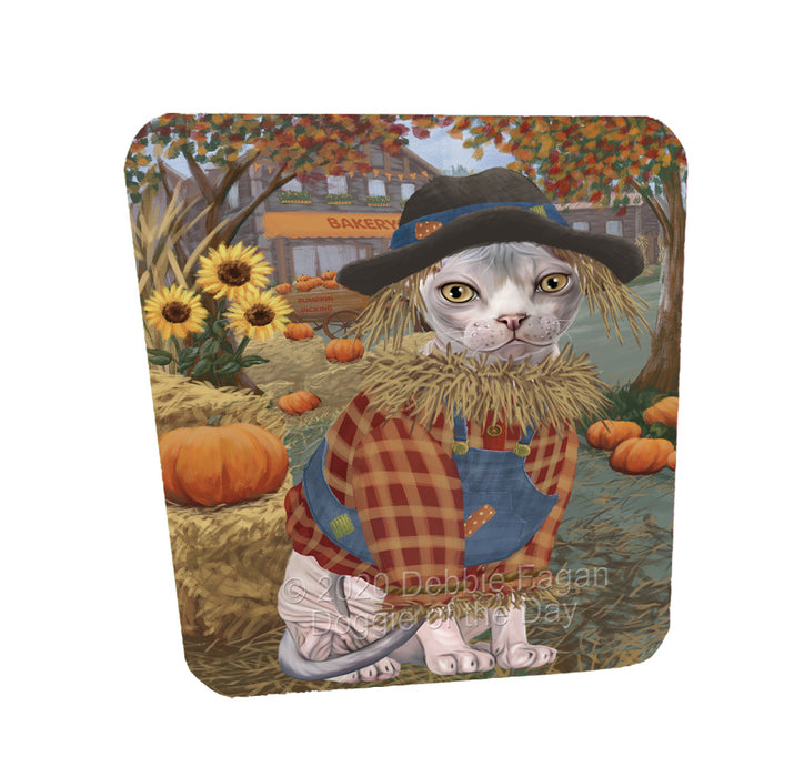 Halloween 'Round Town Sphynx Cats Coasters Set of 4 CSTA58024